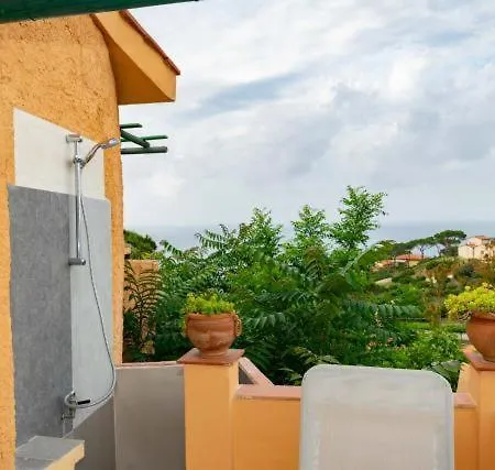 Apartman Carol Bilo M